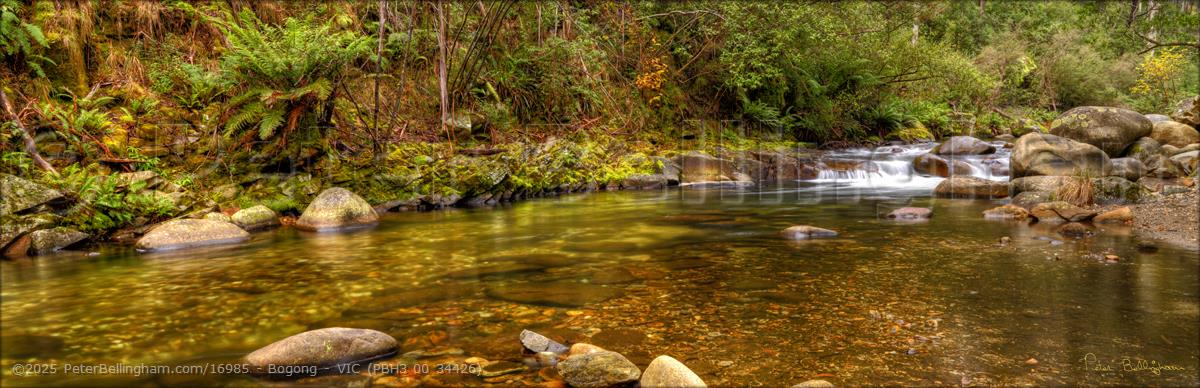 Peter Bellingham Photography Bogong - VIC (PBH3 00 34426)